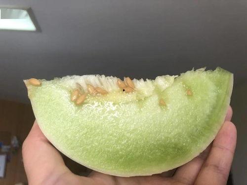 吃冰淇淋瓜舌头刺痛,冰淇淋瓜为何让舌头“触电”？