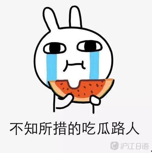 吃瓜外教,一场跨文化交流的趣味之旅