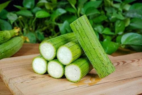 吃瓜和丝瓜,探寻吃瓜与丝瓜的奇妙之旅